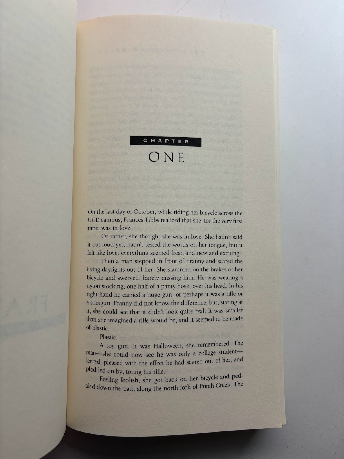 Black/queer erotic fiction (1990s-2010s), LGBTQIA+ short stories, poetry, novel
