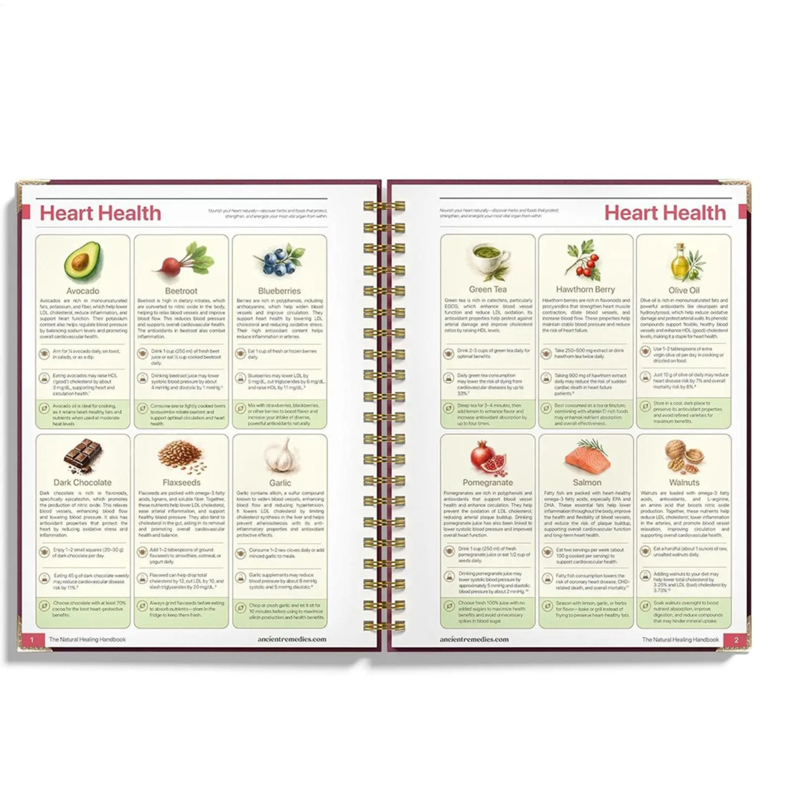 The Natural Healing Handbook, Spiral-Bound Guide for Herbal Remedies and Natural