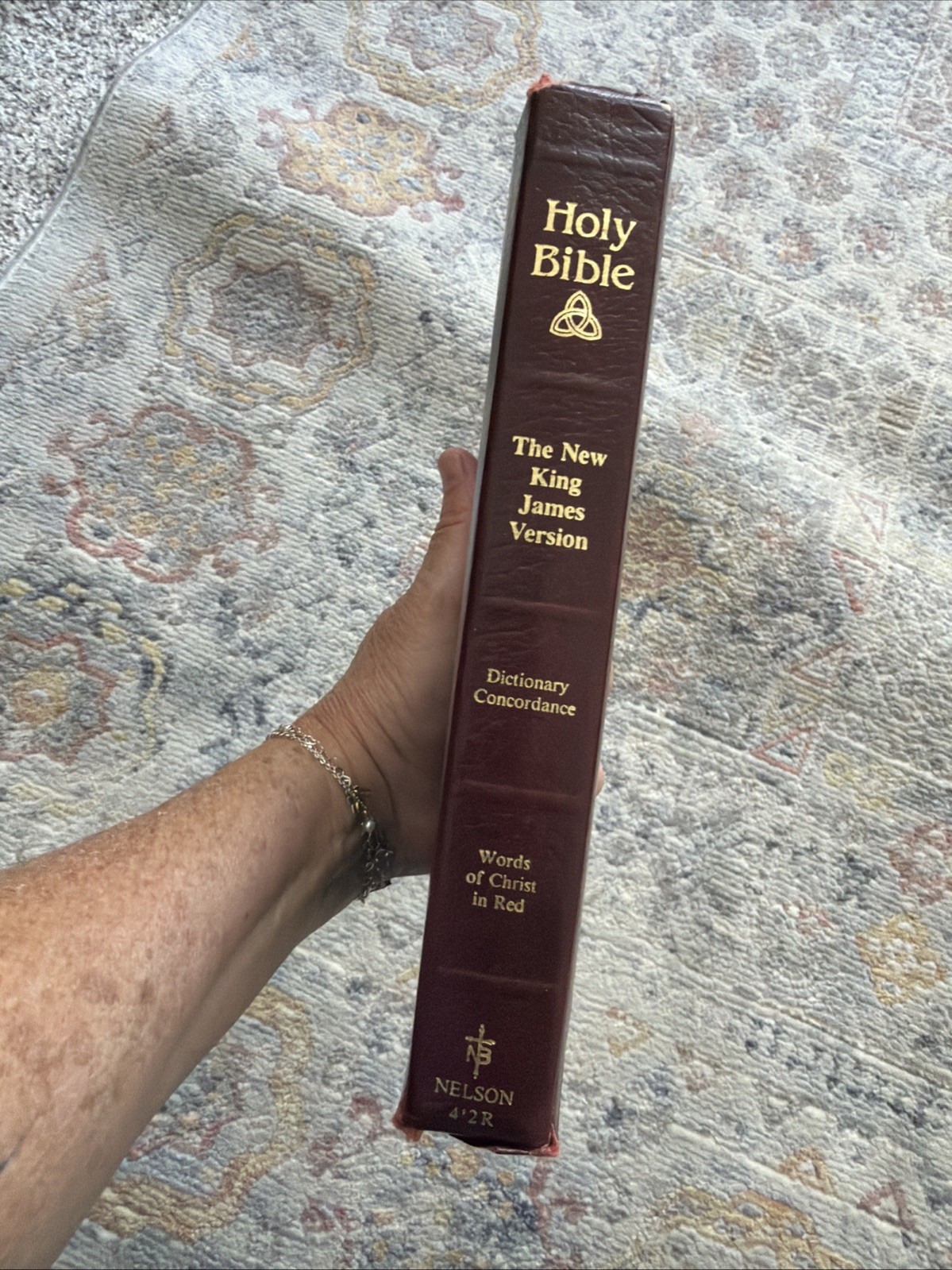 Holy Bible Dictionary Concordance Words Of Christ In Red KJV Nelson Red Cover