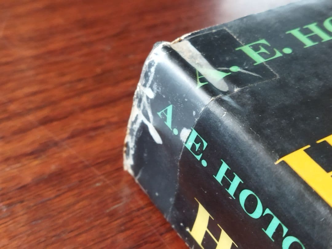 Papa Hemingway by E. Hotchner 1999 Hardcover Biography 8.7×5.9in