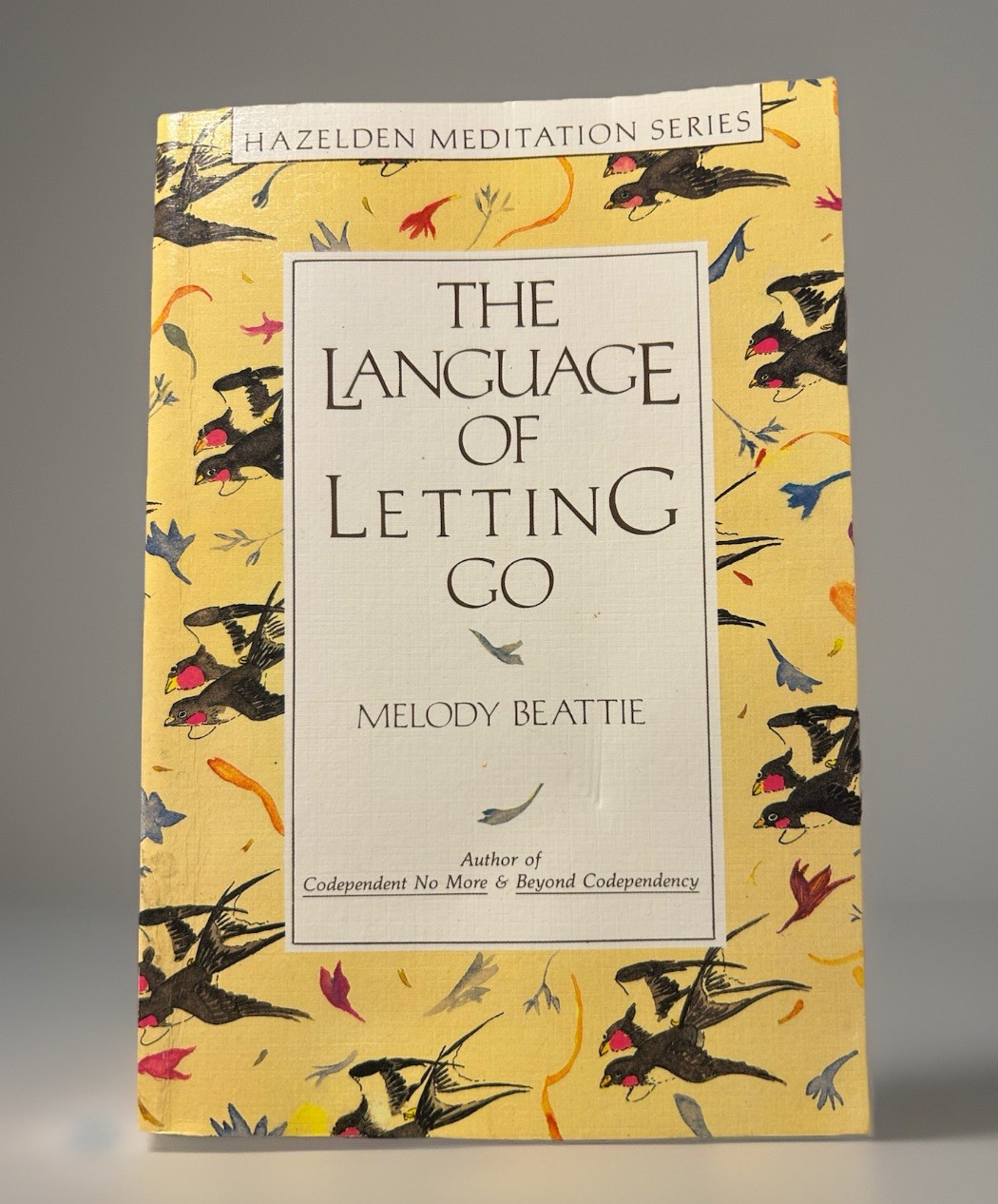 The Language of Letting Go by author Melody Beattie