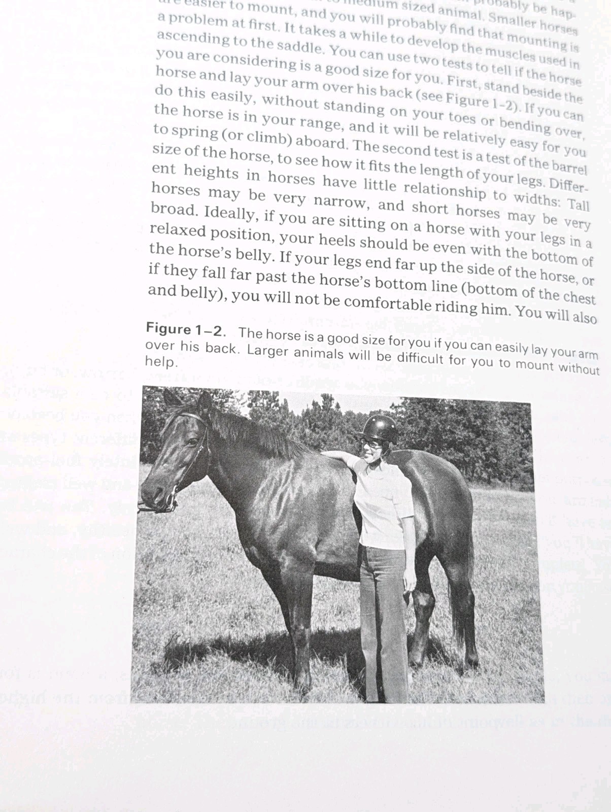 Teach Yourself To Ride A Horse Riding Vintage Horseback Training Equestrian Book