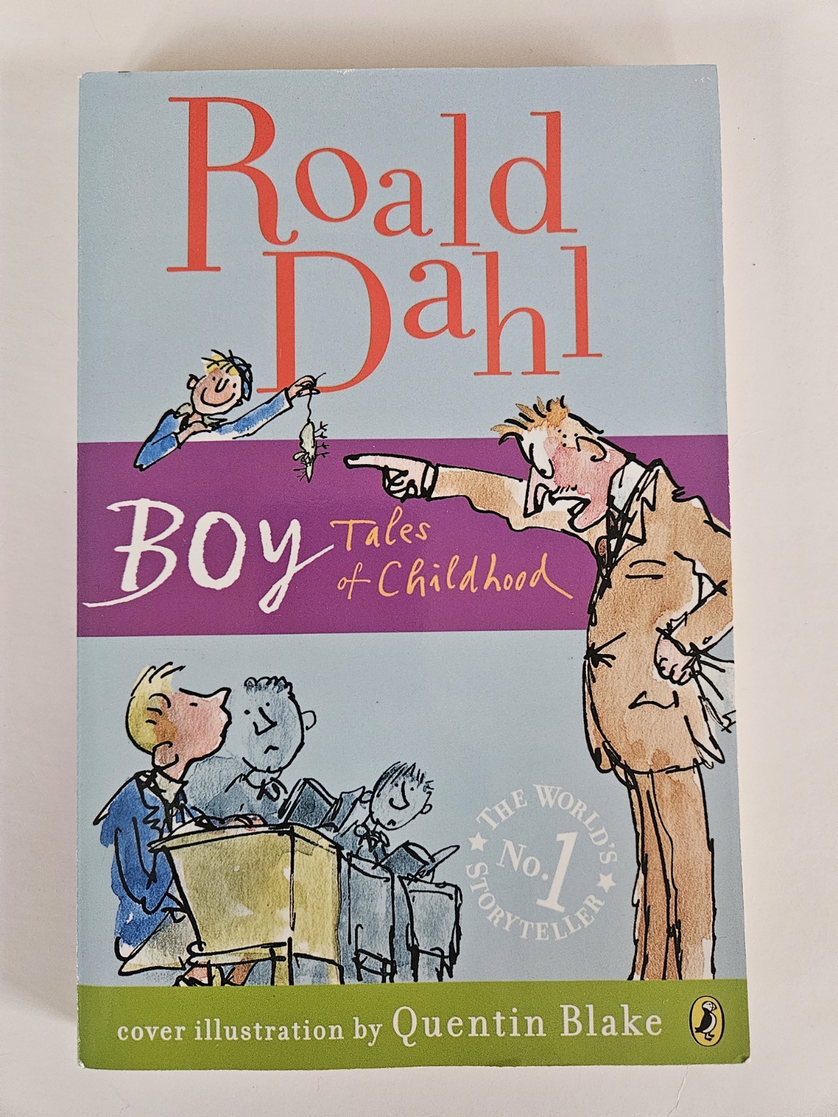 Roald Dahl LOT 10 Books Twits Charlie Witches Boy BFG Mr Fox Magic Finger EXC