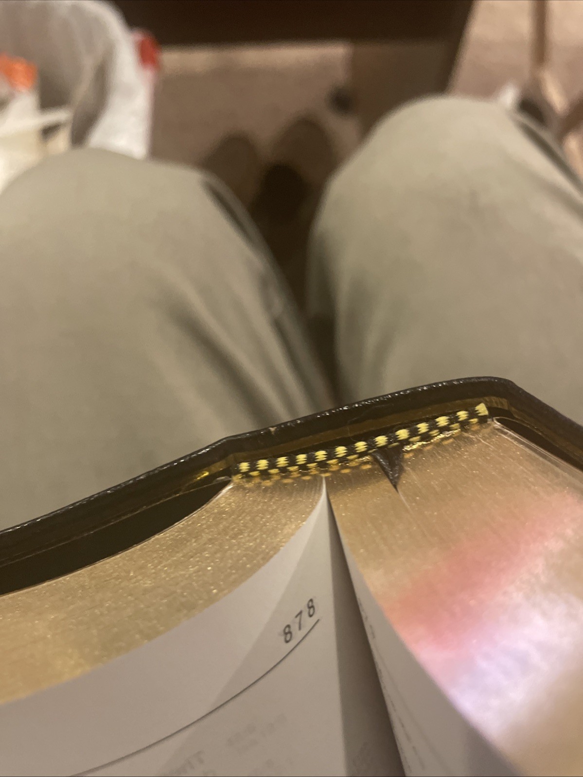 NIV Thinline Bible by Zondervan Staff (2005, Leather)