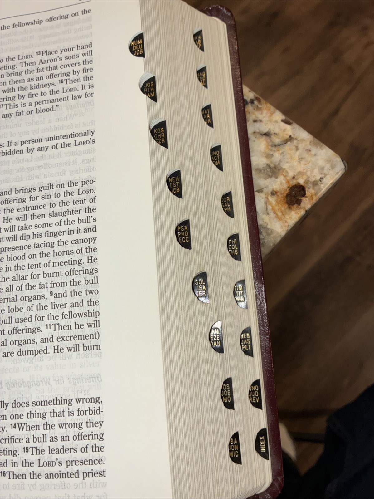 God’s Word translation bible by world publishing, Nation’s Bible Society 1995