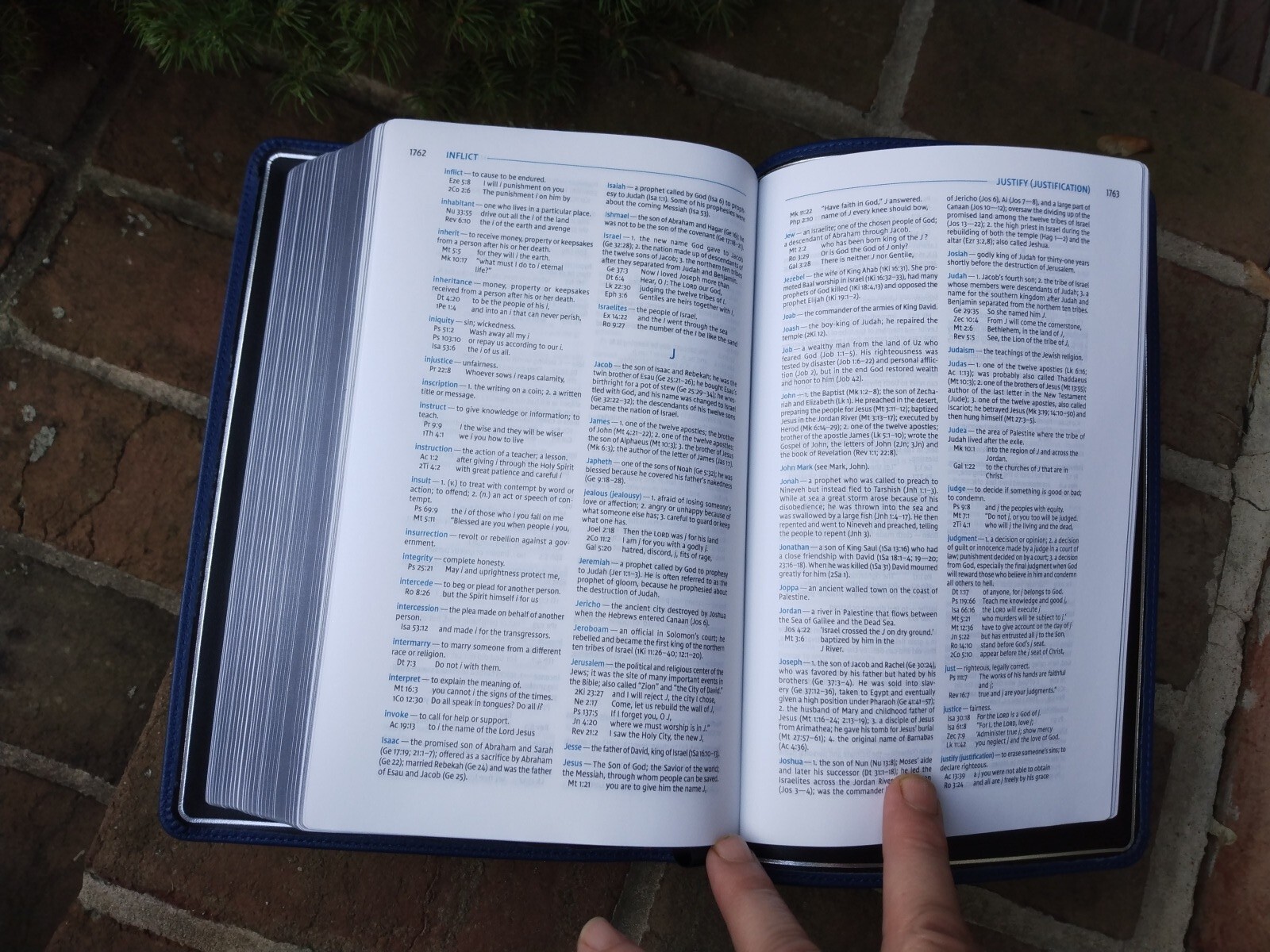 NIV Single Column Ref Wide Margin Personal Bible -$229.99 Retail Blue Goatskin