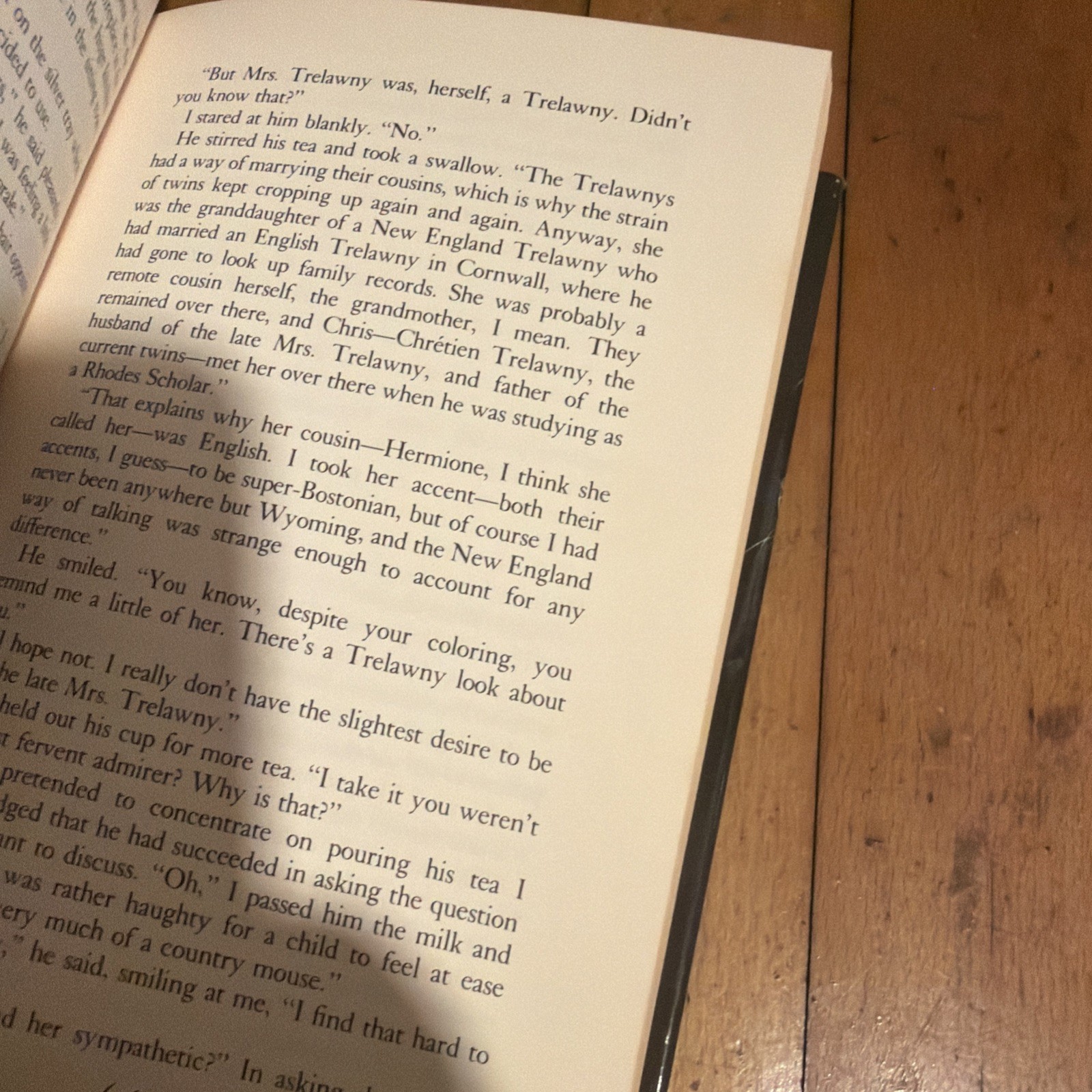 Trelawny Isabelle Holland 1974 Hardcover Dust Jacket Gothic Fiction Novel