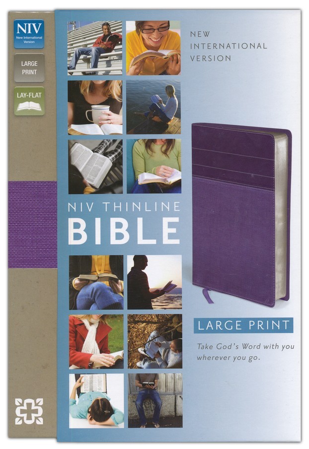 ** NIV 2011 Thinline Bible Large Print 10.5pt *Purple/Plum Leathersoft *NEW* 990