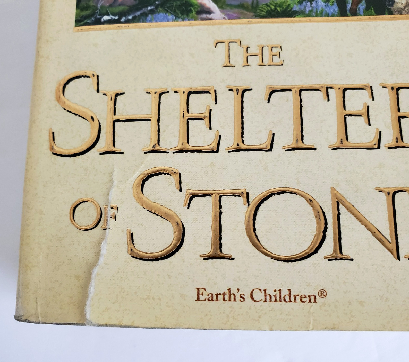 Jean M. Auel’s Earth’s Children Paperback Series (Books 1 Through 5)