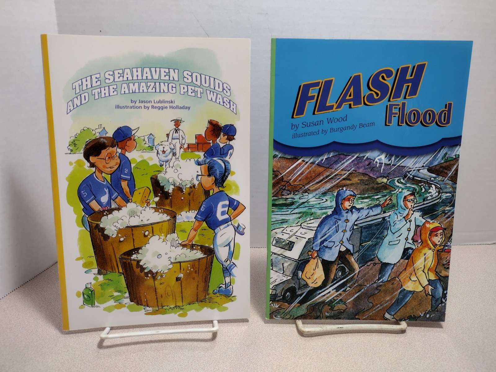 Scott Foresman Reading Street Grade 4 Lot of 22 Science, Social Studies, Reading