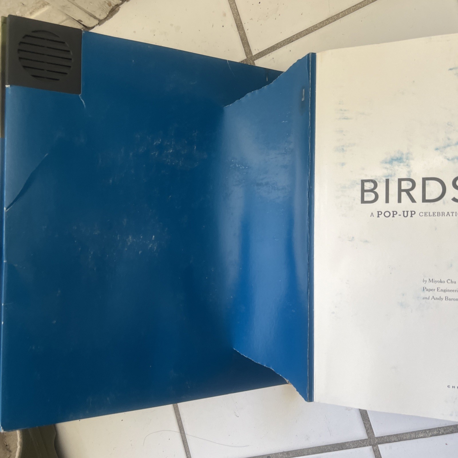 Birdscapes Pop Up Book Cornell Lab Miyoko Chu 2008 WORKING SOUND Birdsongs Audio