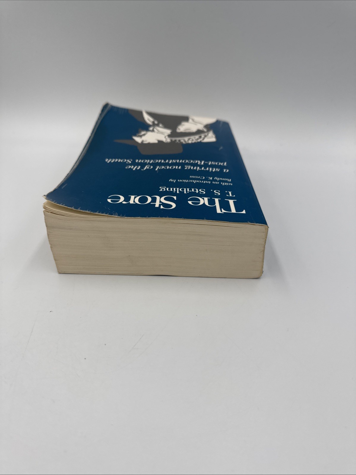 Store by Thomas S. Stribling (1985, Trade Paperback)