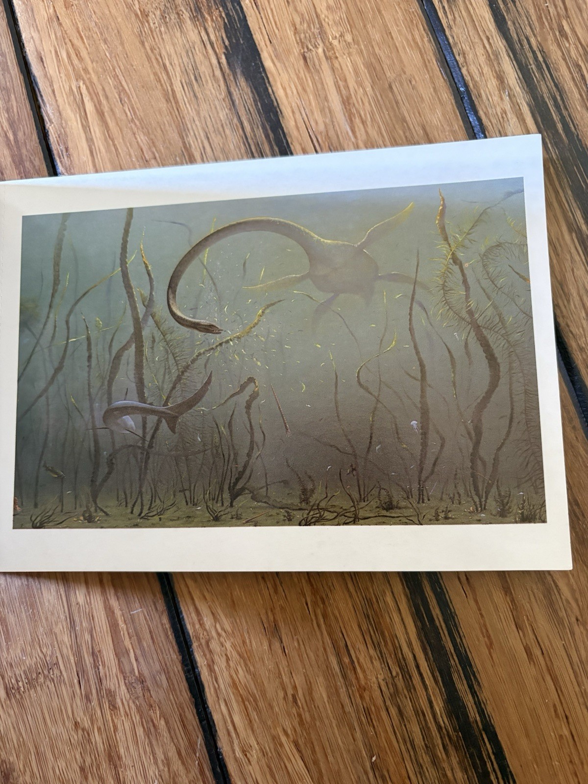 The Dinosaurs Postcard Book by Running Press. Complete With 30 Postcards. Rare!