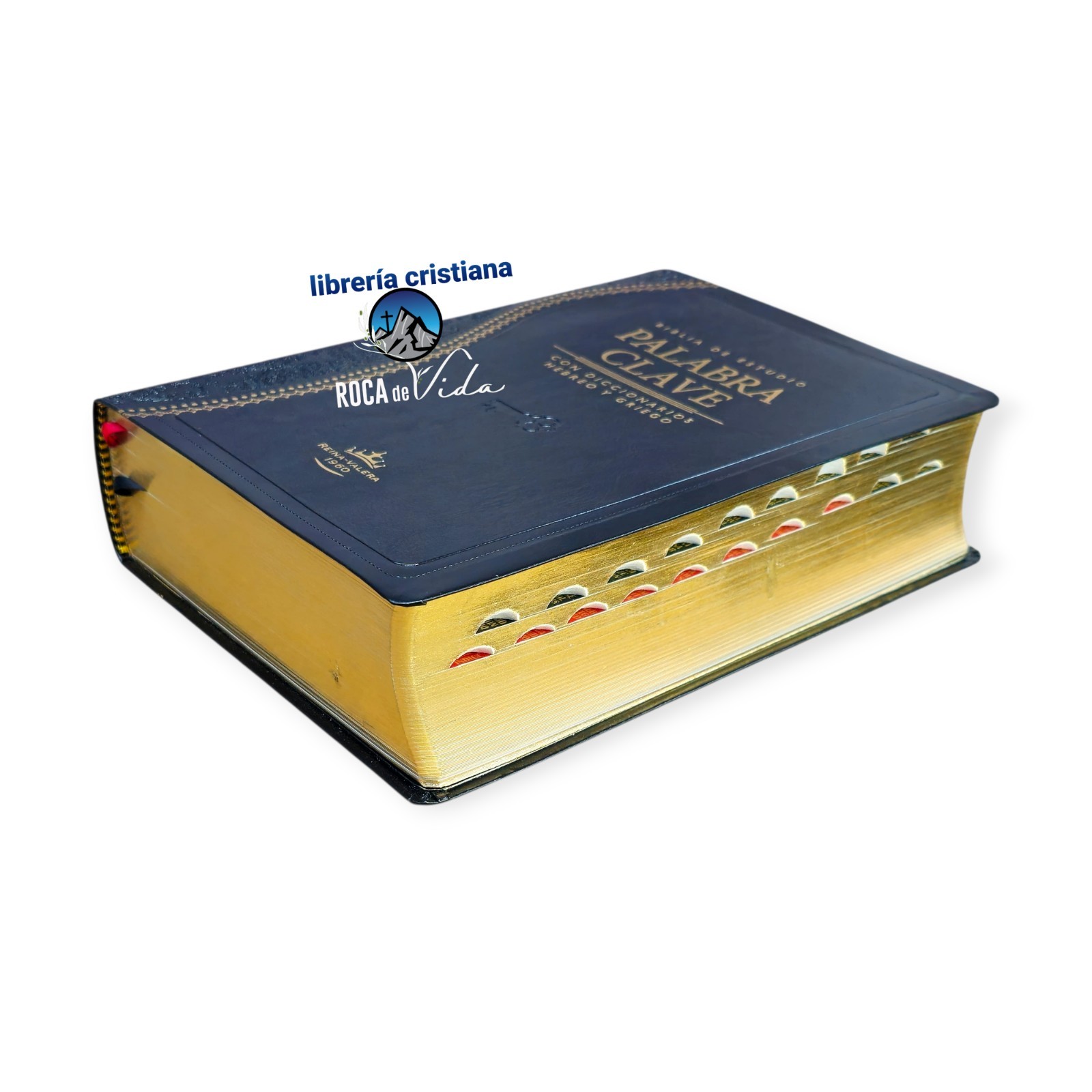 Biblia de Estudio Palabra Clave RV1960, con diccionario en hebreo Indice Negro