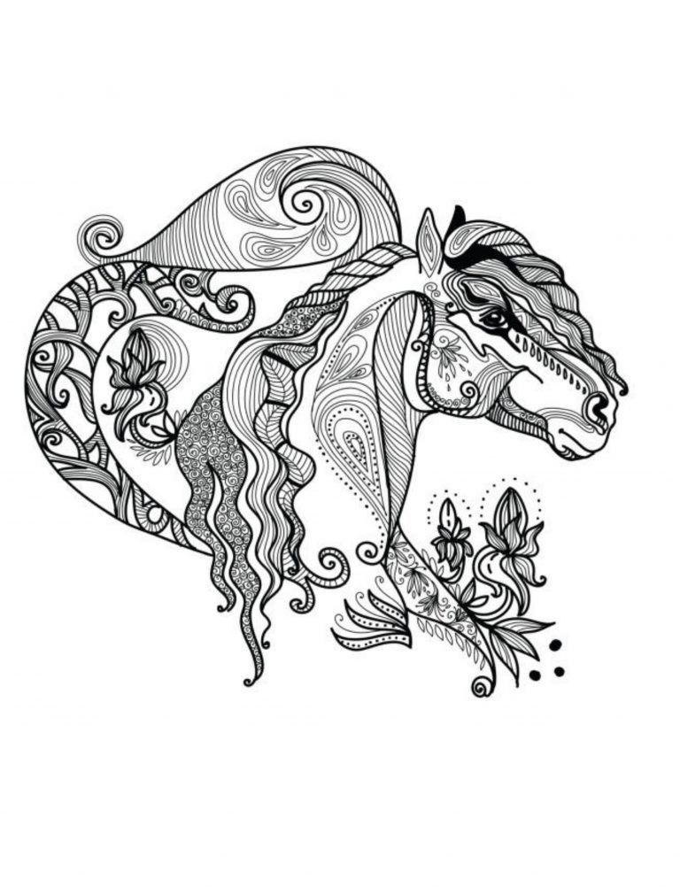 the Horses Coloring Book the best horse book 108 Pages 8.5 x 11 for All Ages