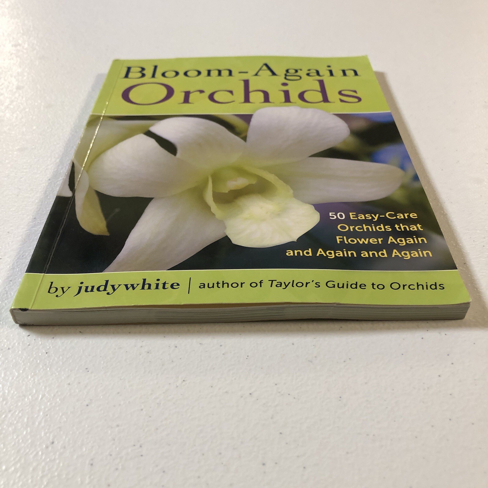 2017 BLOOM-AGAIN ORCHIDS by Judy White (Paperback)