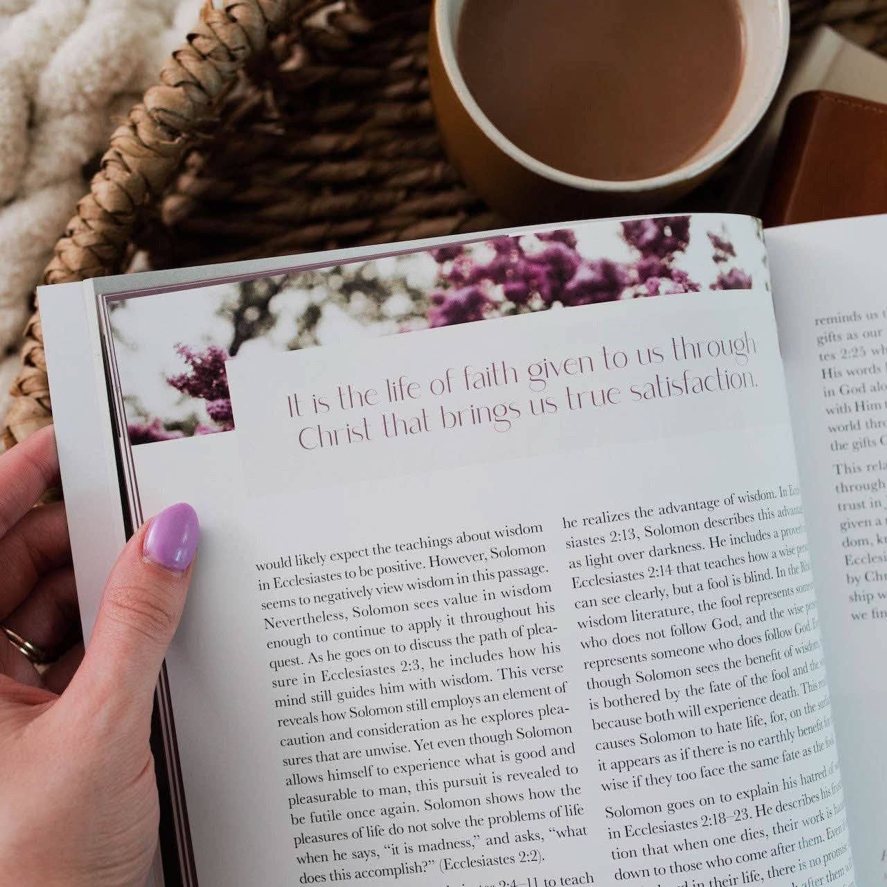 The Daily Grace Co Path to Purpose | A Bible Study on the Book of Ecclesiastes