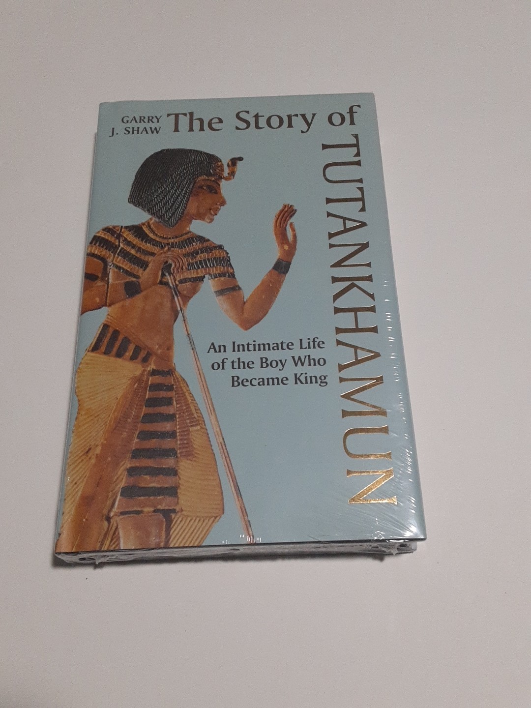 Story of Tutankhamun – An Intimate Life of the Boy Who Became King, Hardcover