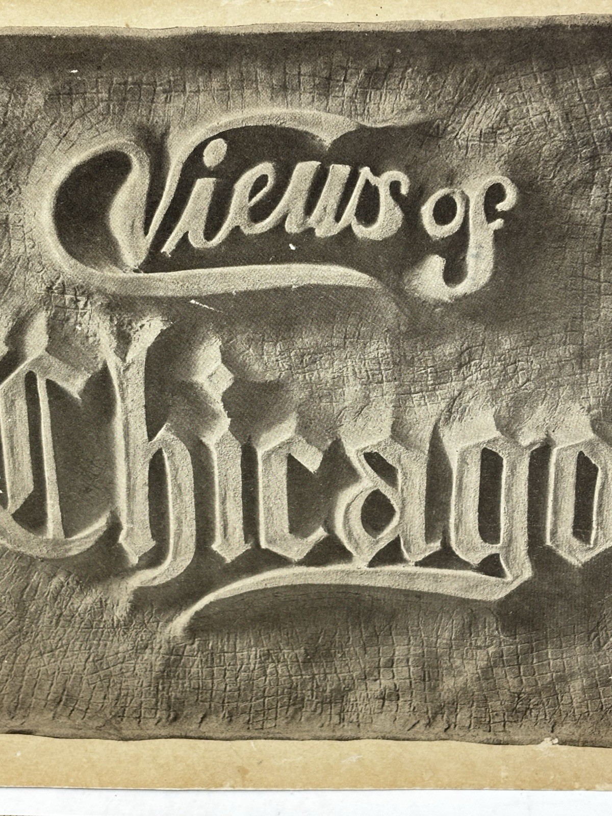 VIEWS OF CHICAGO Photo Booklet S.H. Knox 48 pages photos 1908 Antique