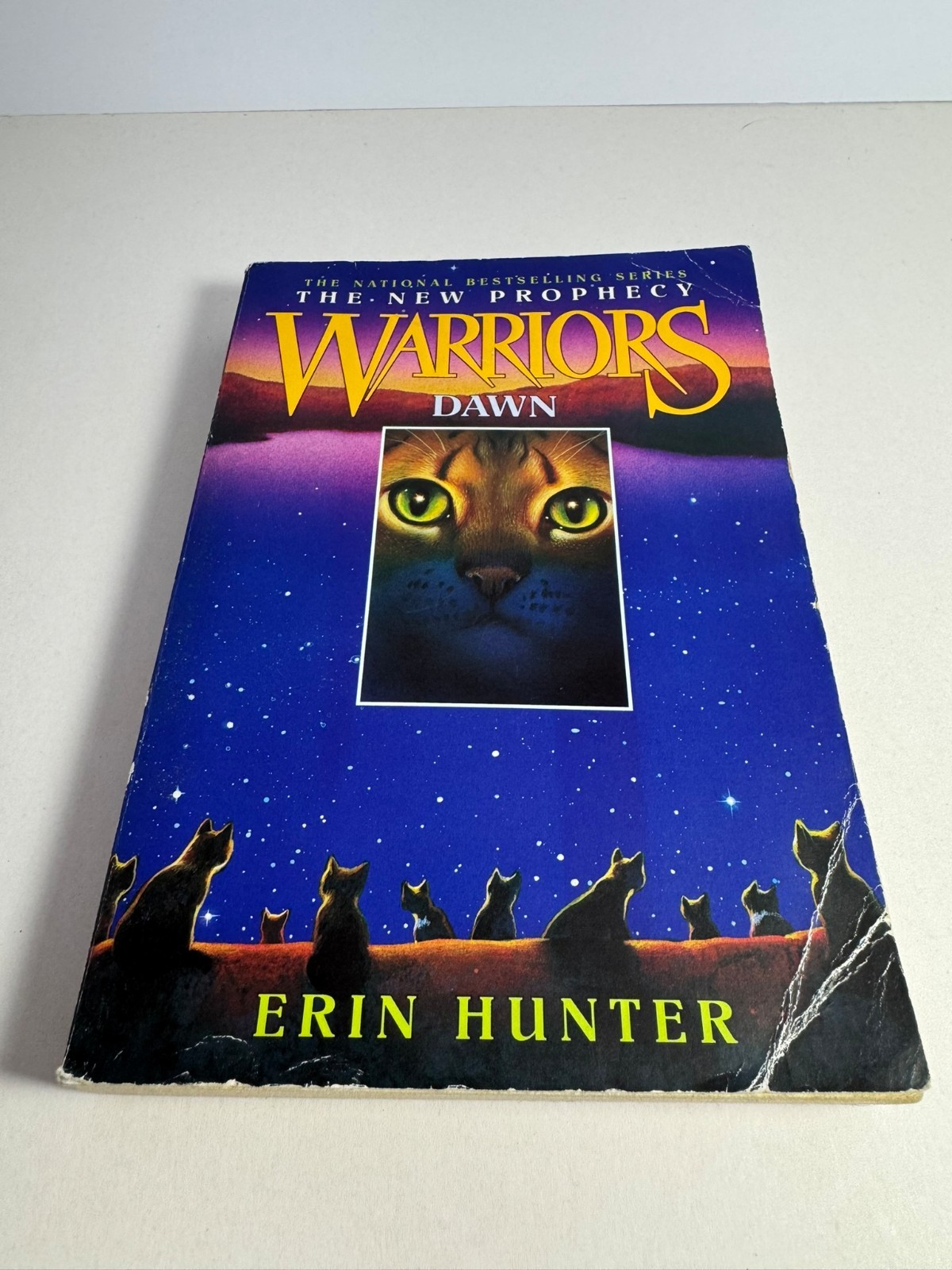 Warriors The New Prophecy First Edition Set 1-6 – Erin Hunter Paperback