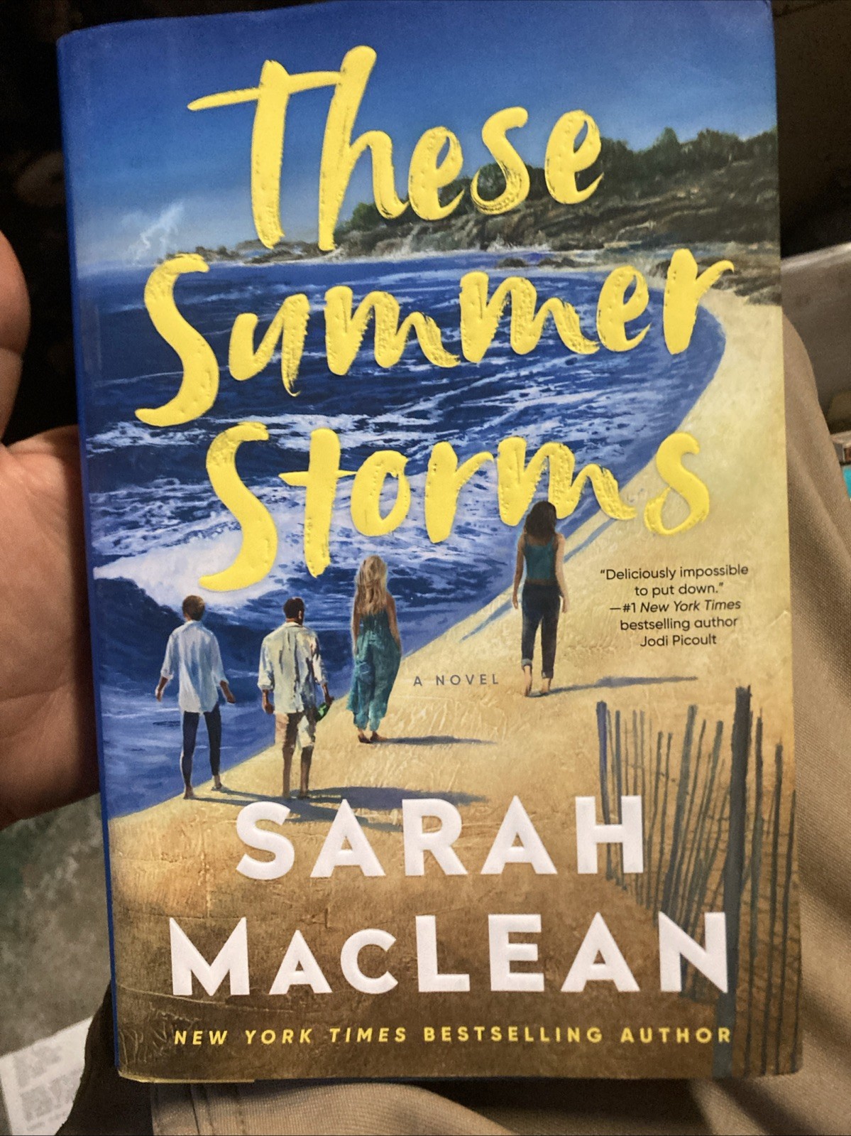These Summer Storms: A Novel
