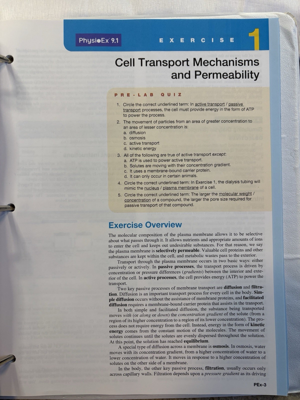 Human Anatomy & Physiology Laboratory Manual 13th Edition Loose Leaf Cat Version