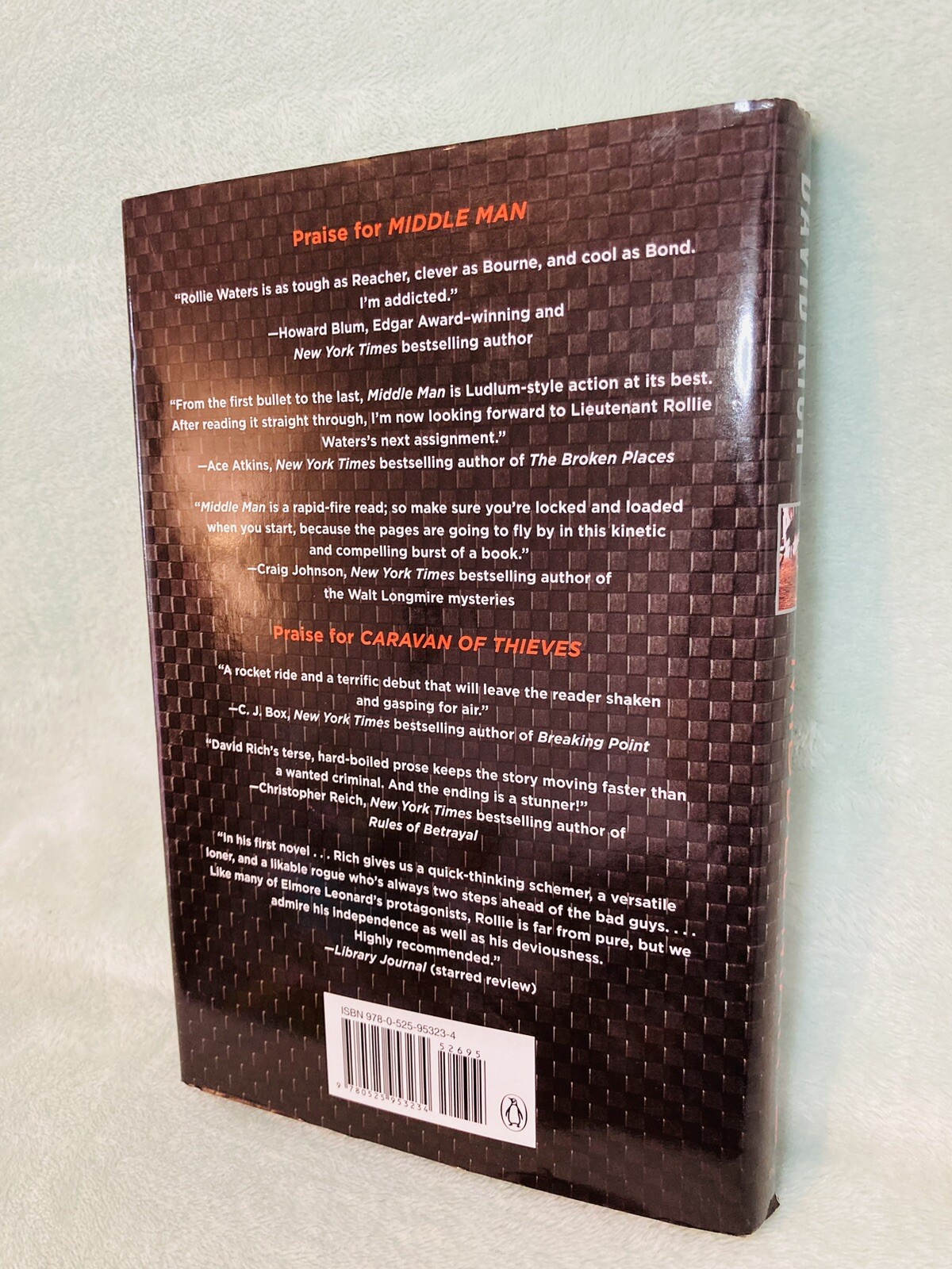 Middle Man by David Rich (2013, Hardcover with Dust Jacket) Thriller Novel