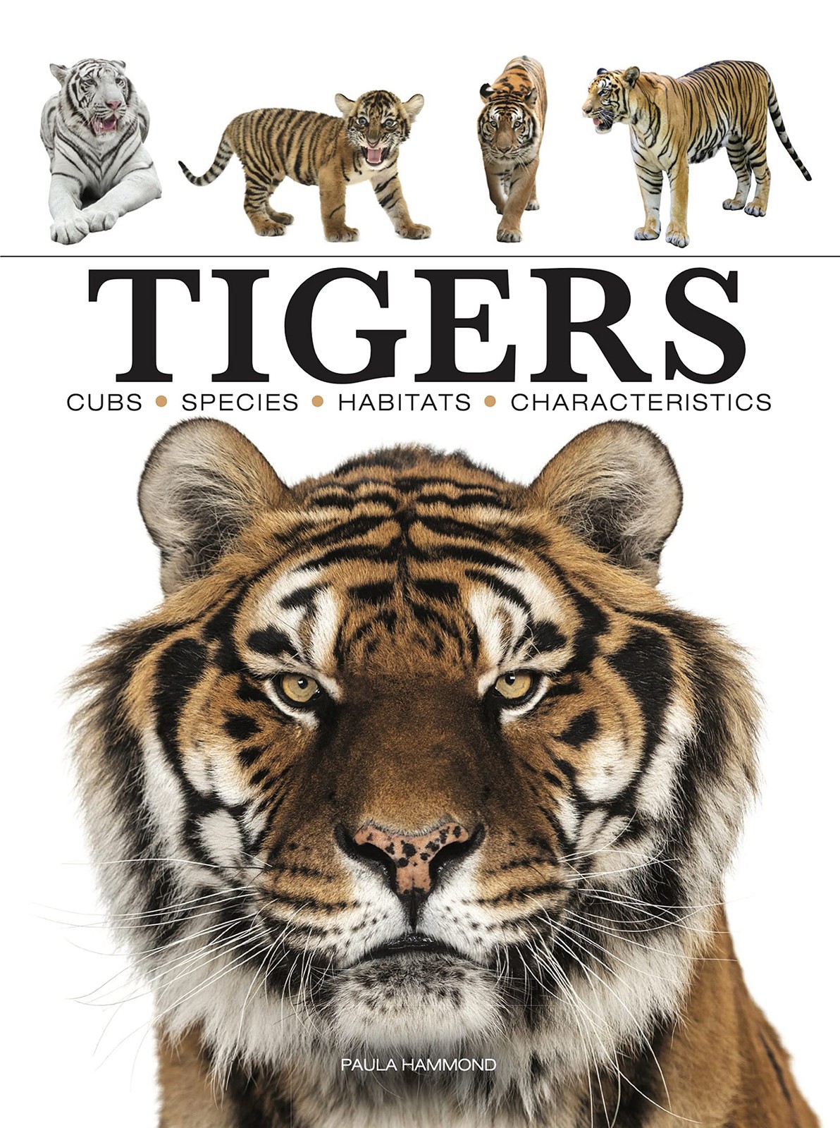 Tigers (Mini Encyclopedias)