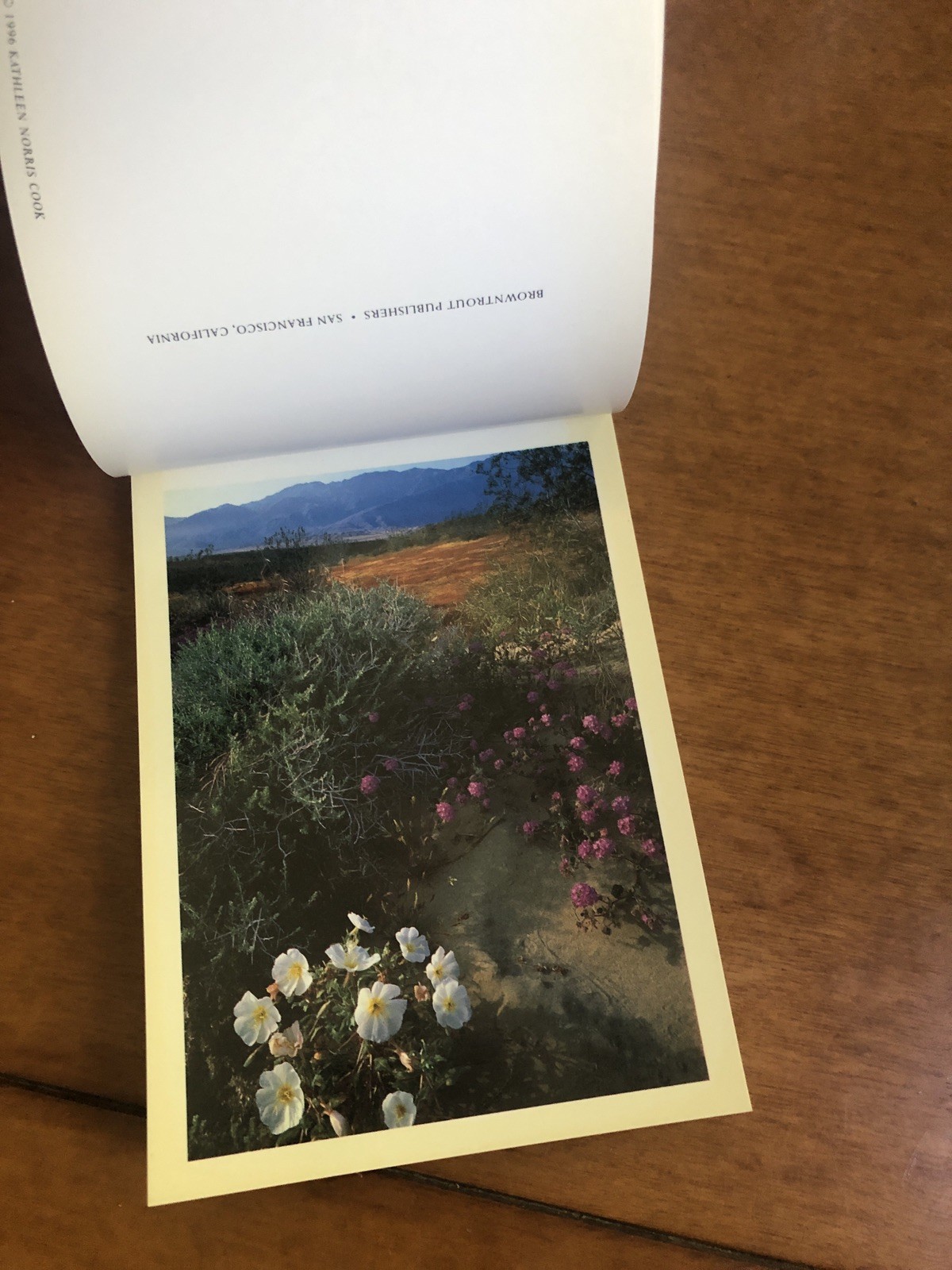 California Wildflowers A Book of 21 Postcards Browntrout Publishers Photos VTG