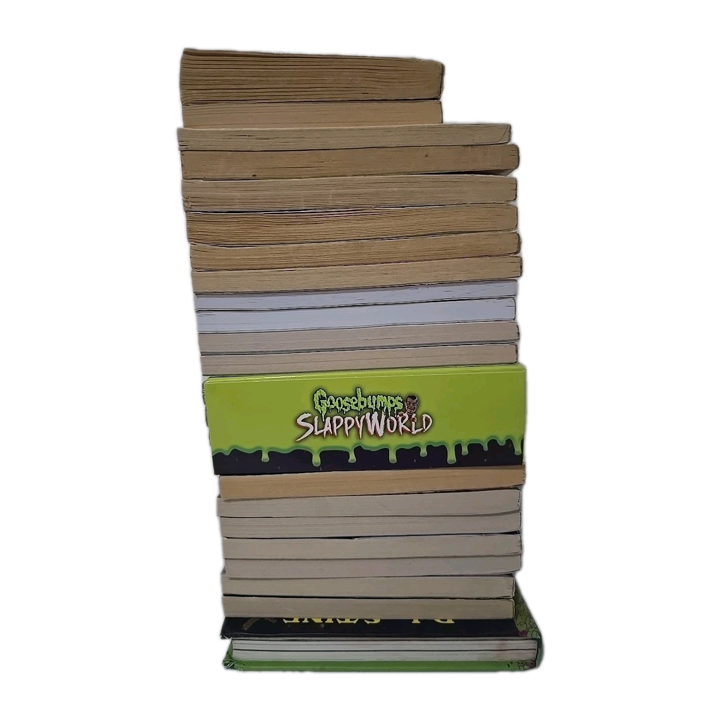 R.L. Stine Book Lot Of 24- Fear Street, Twisted, Rotten School, Goosebumps,