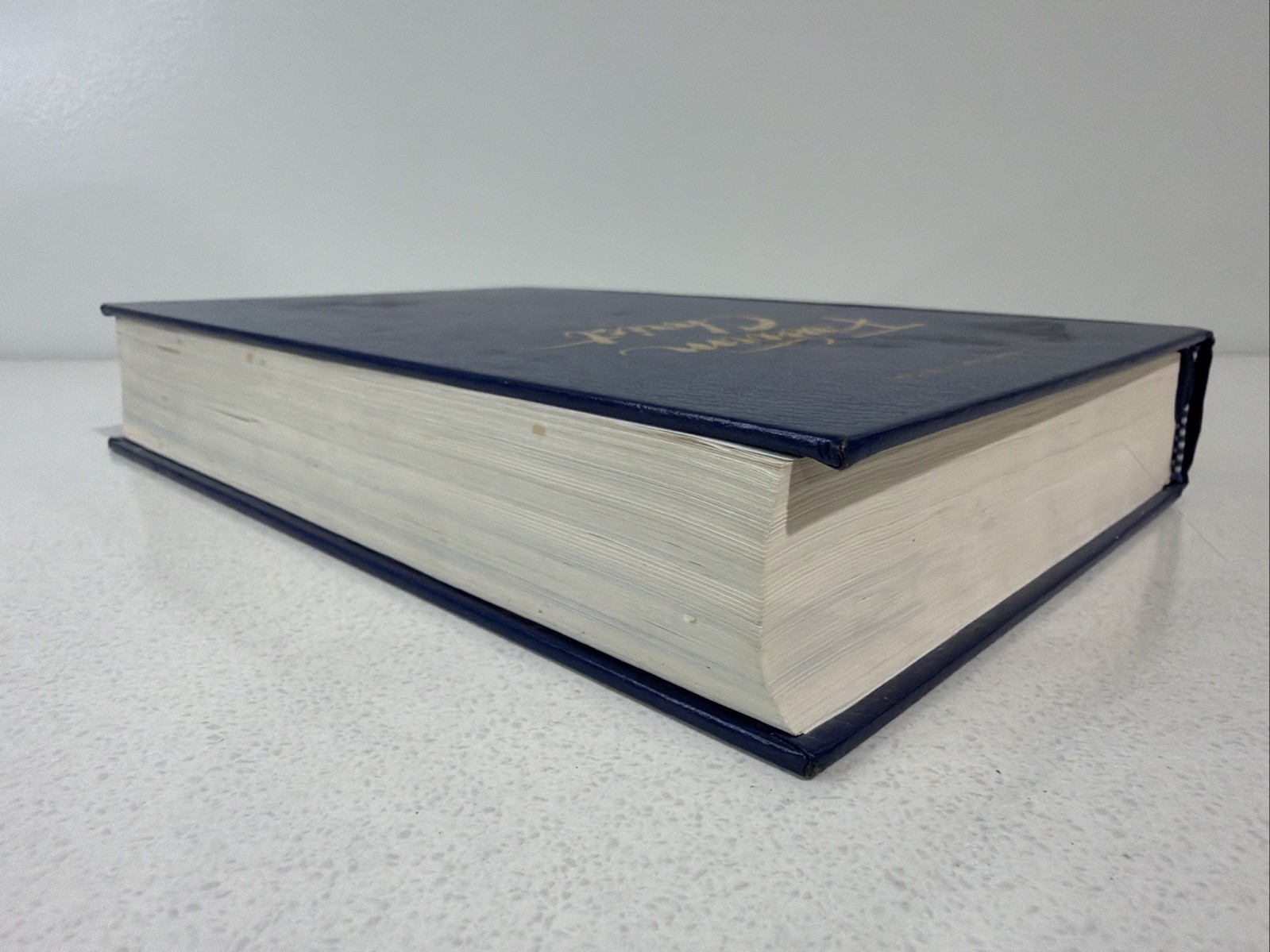 Freedom in Christ Bible by Zondervan Staff Blue 2001 Paint Splatter On Book