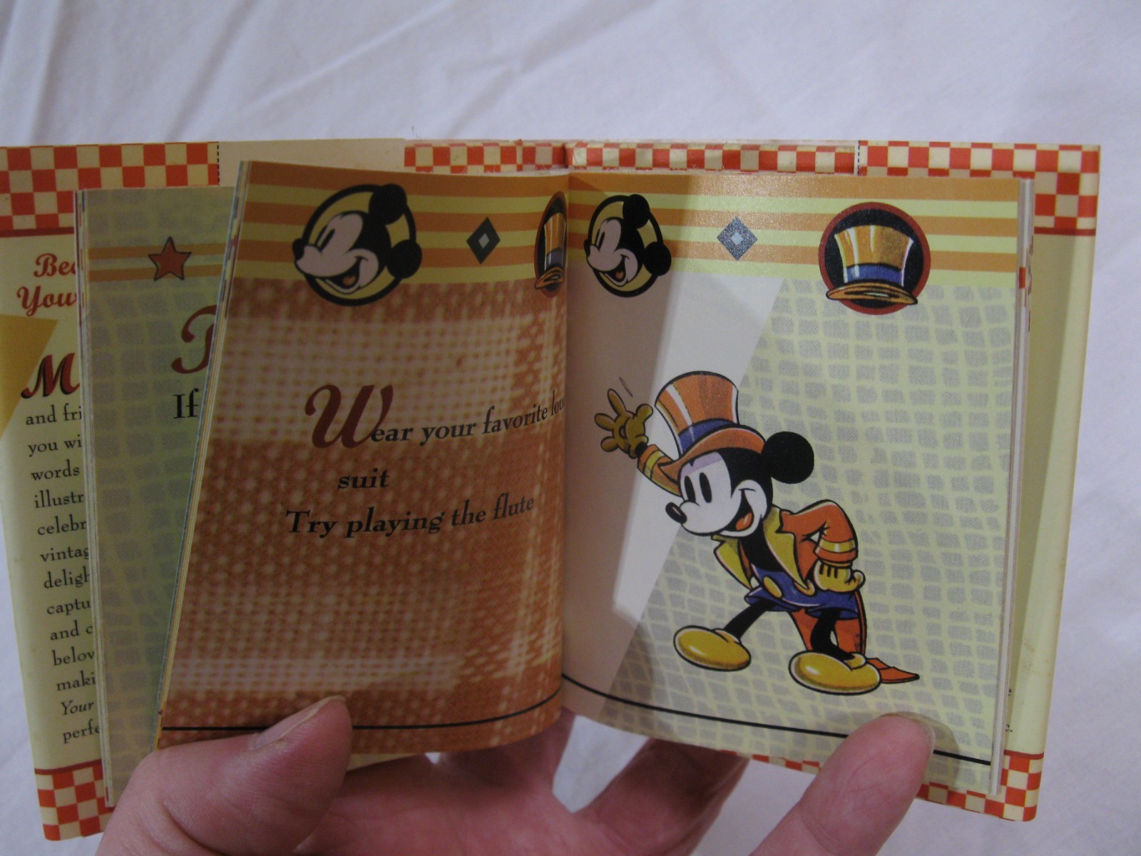 Mickey Minnie Because It’s Your Birthday Book HCDJ 2006 HTF 48 Pages