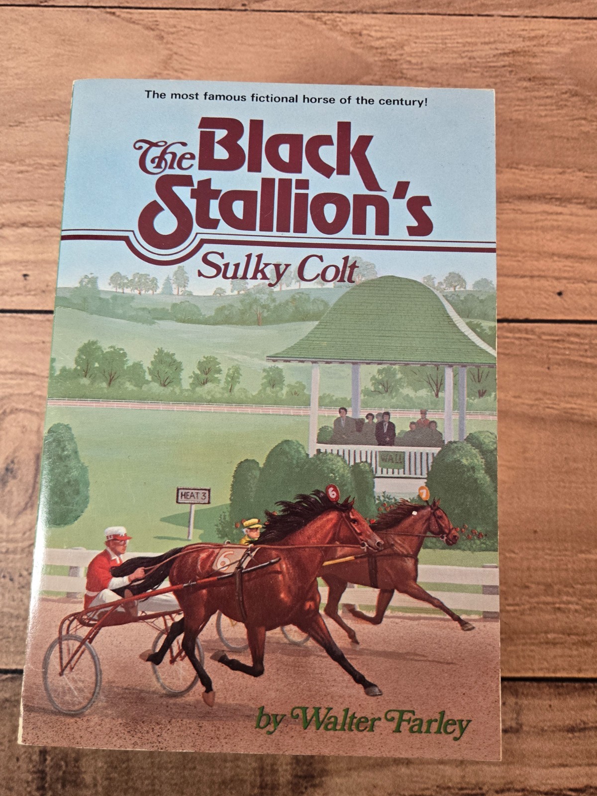 Lot of 5 The Black Stallion Paperbacks 1980s Walter Farley Very Good