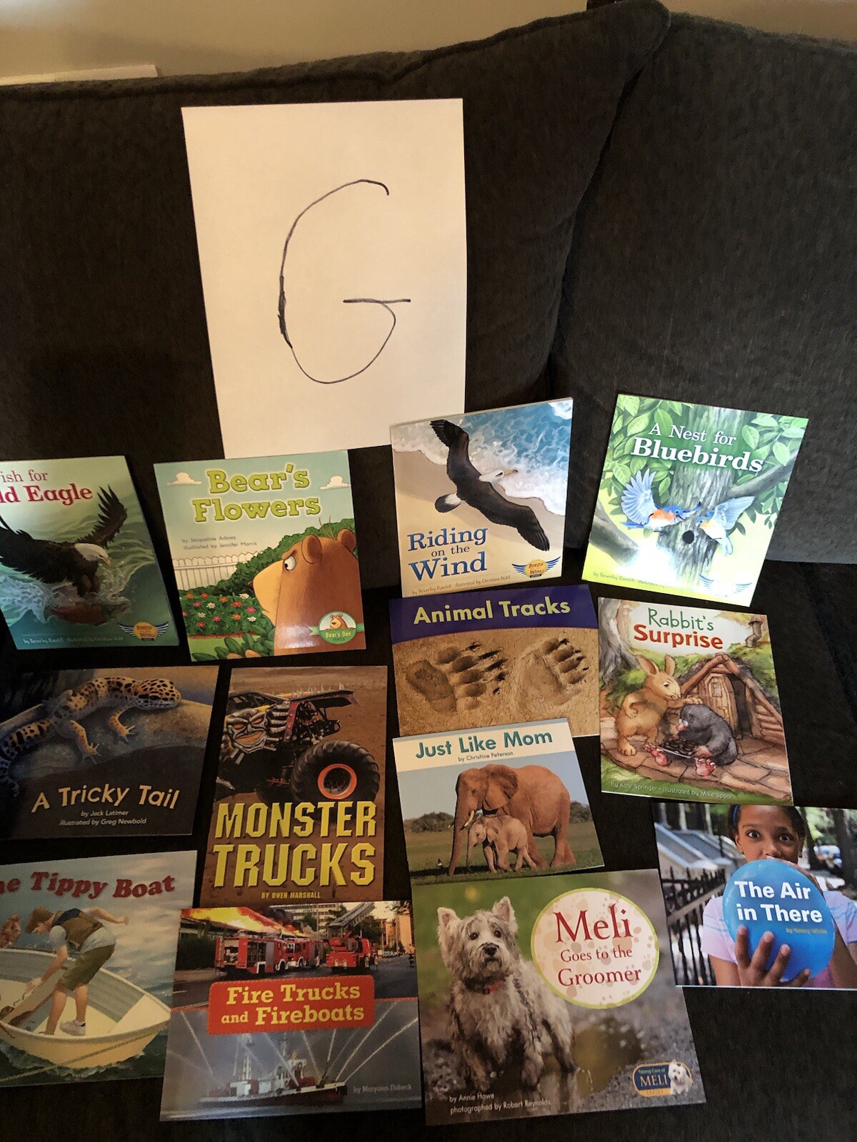 First Grade Reading Books — HOME SCHOOL — Grade 1 Like New 10 Different $15