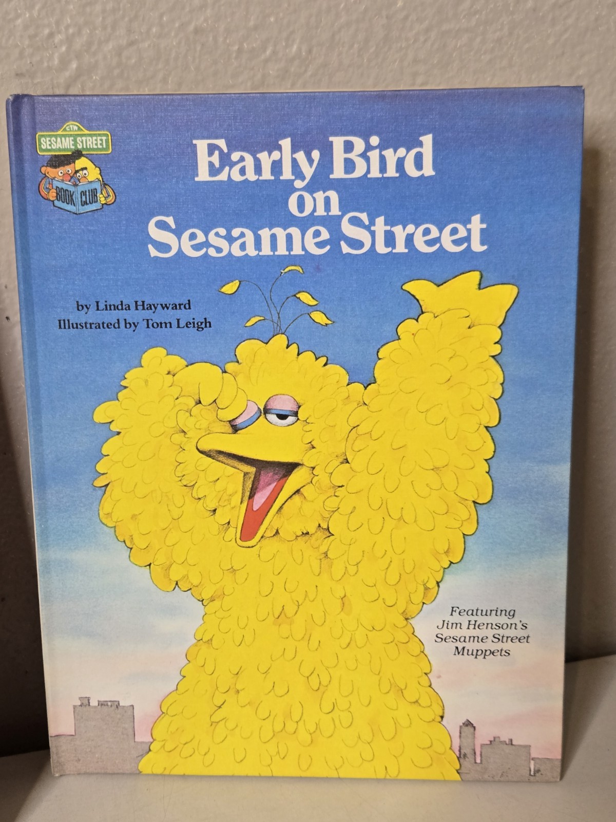 The Sesame Street Book Club Lot of 14 Books Kids Reading Random House Golden
