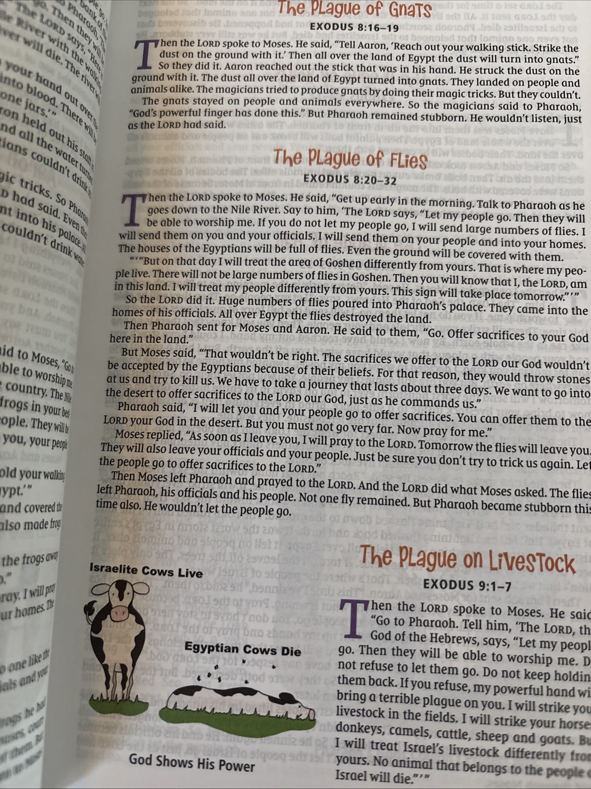 NIrV, The Illustrated Holy Bible for Kids, Hardcover, Full Color, Comfort – GOOD