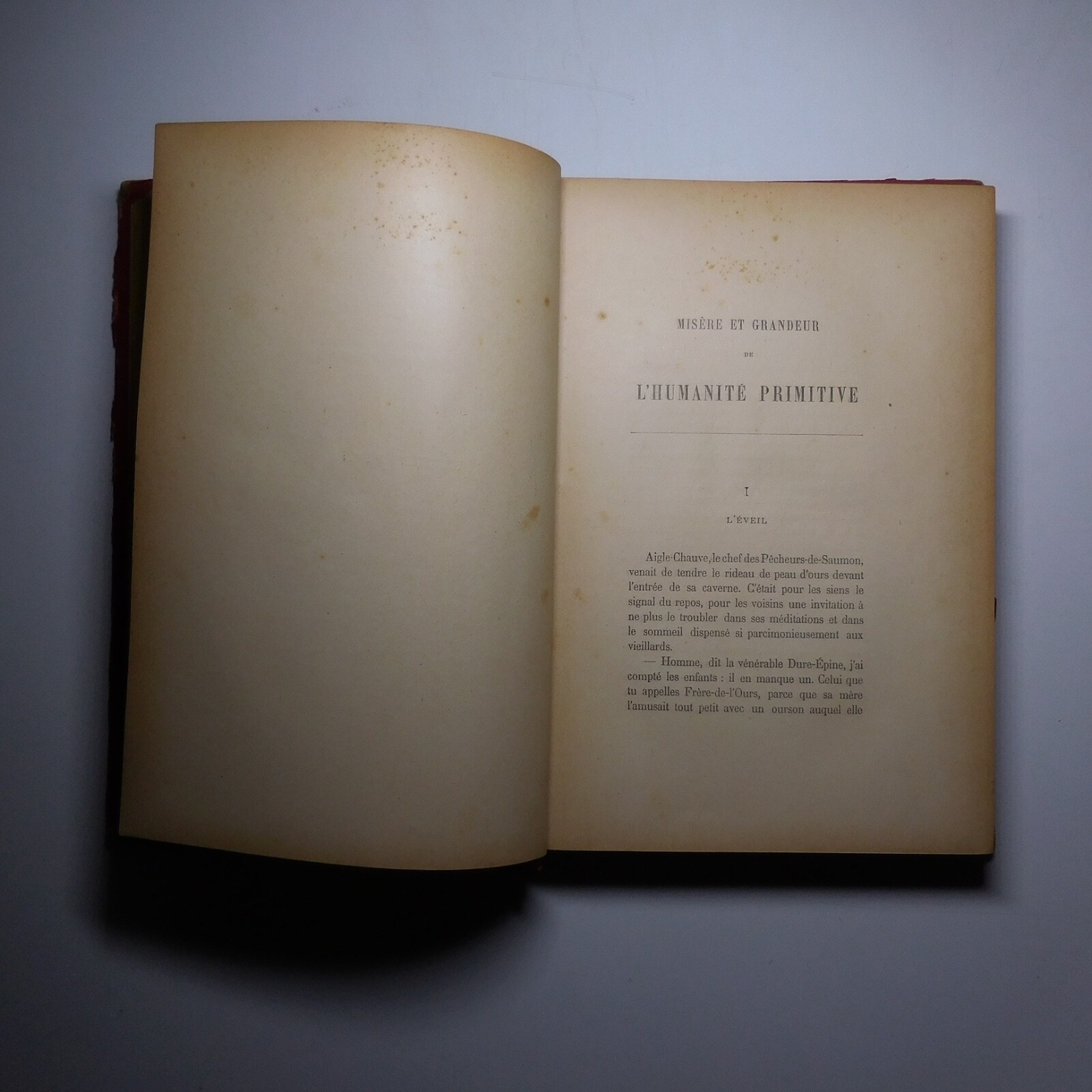 N25.4 Misery Size Humanity Primitive 1889 Illustrated Anthropology Mrs. Meunier