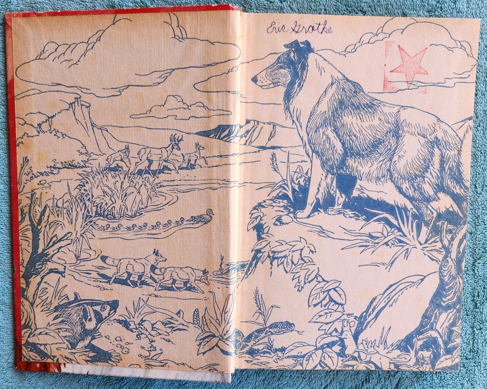 Lassie Trouble At Painter’s Lake By Steve Frazee 1972 Hardcover 210 Pages