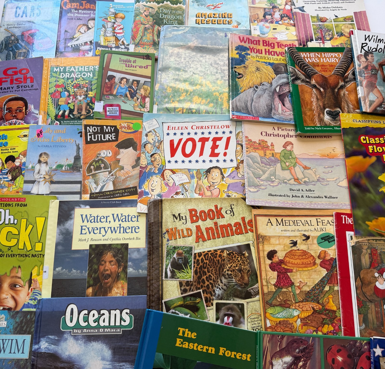 Lot of 10 Random Children’s Books, Grades 2-3, Homeschool Library/Teacher Librar