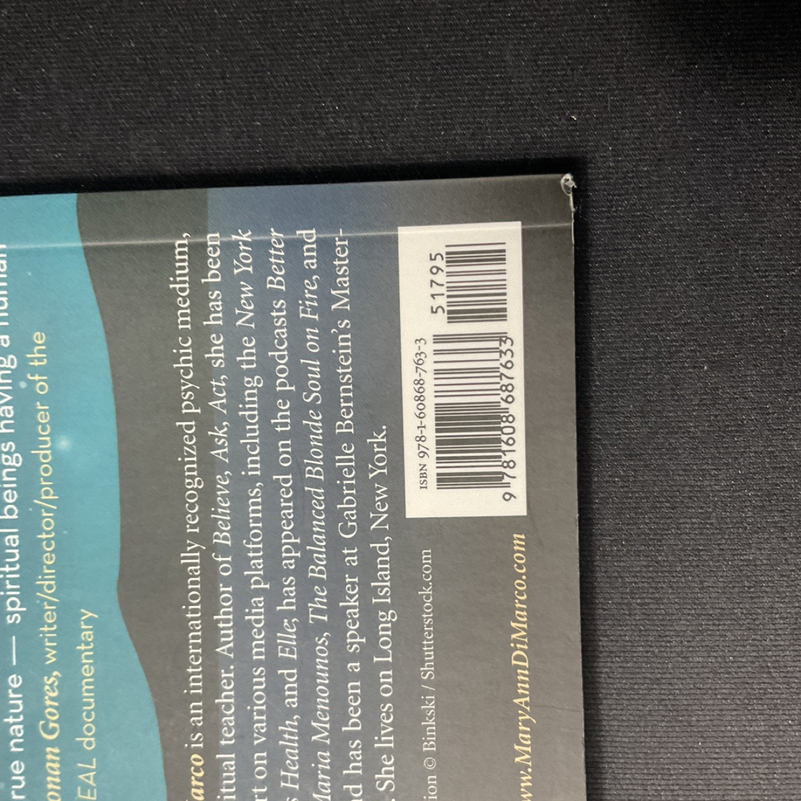 Medium Mentor Maryann DiMarco Trade Paperback Atria Books 2020