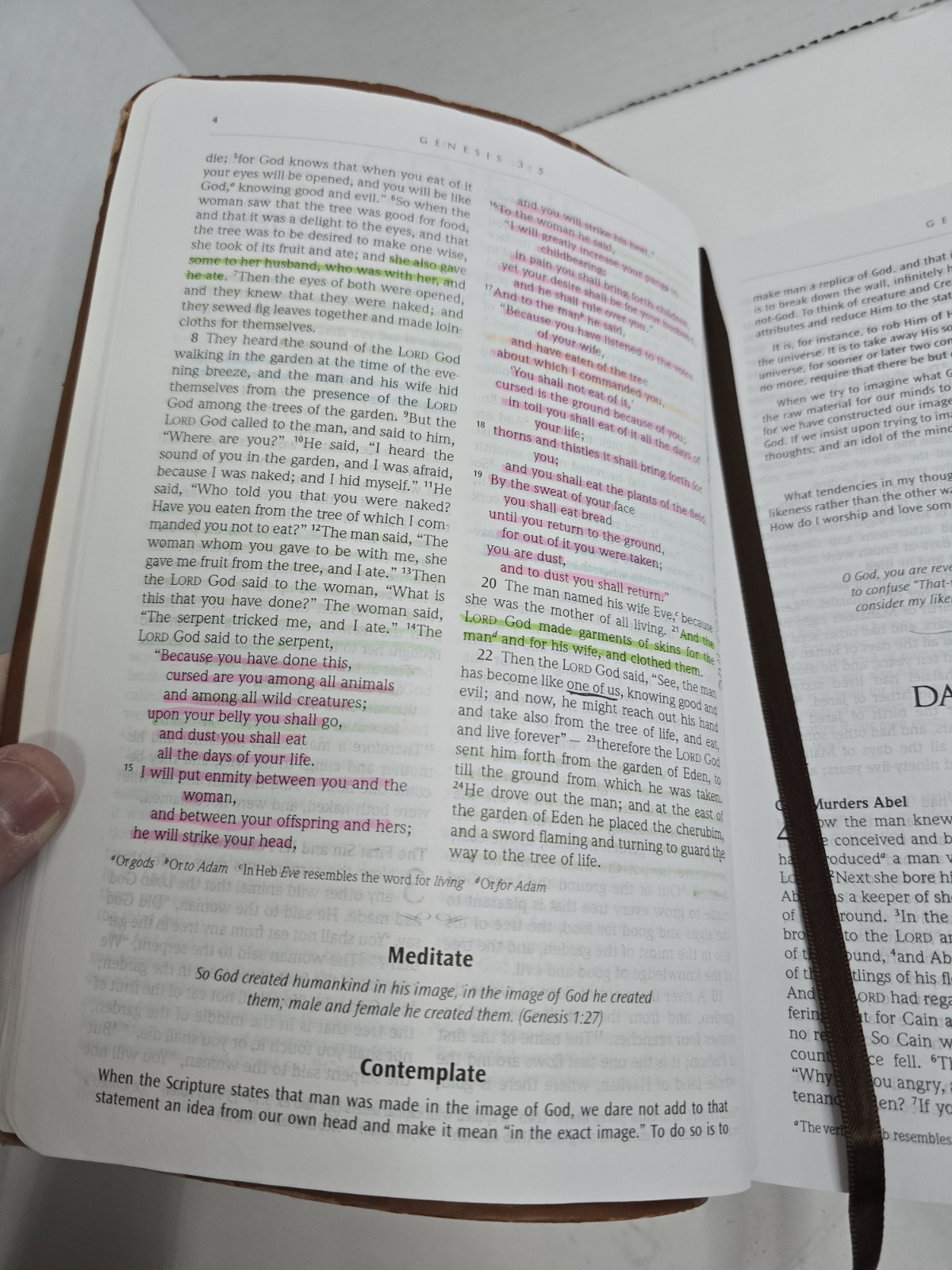 The NRSV Daily Bible: Read Meditate & Pray Through The Entire Bible 2012 1st Ed.