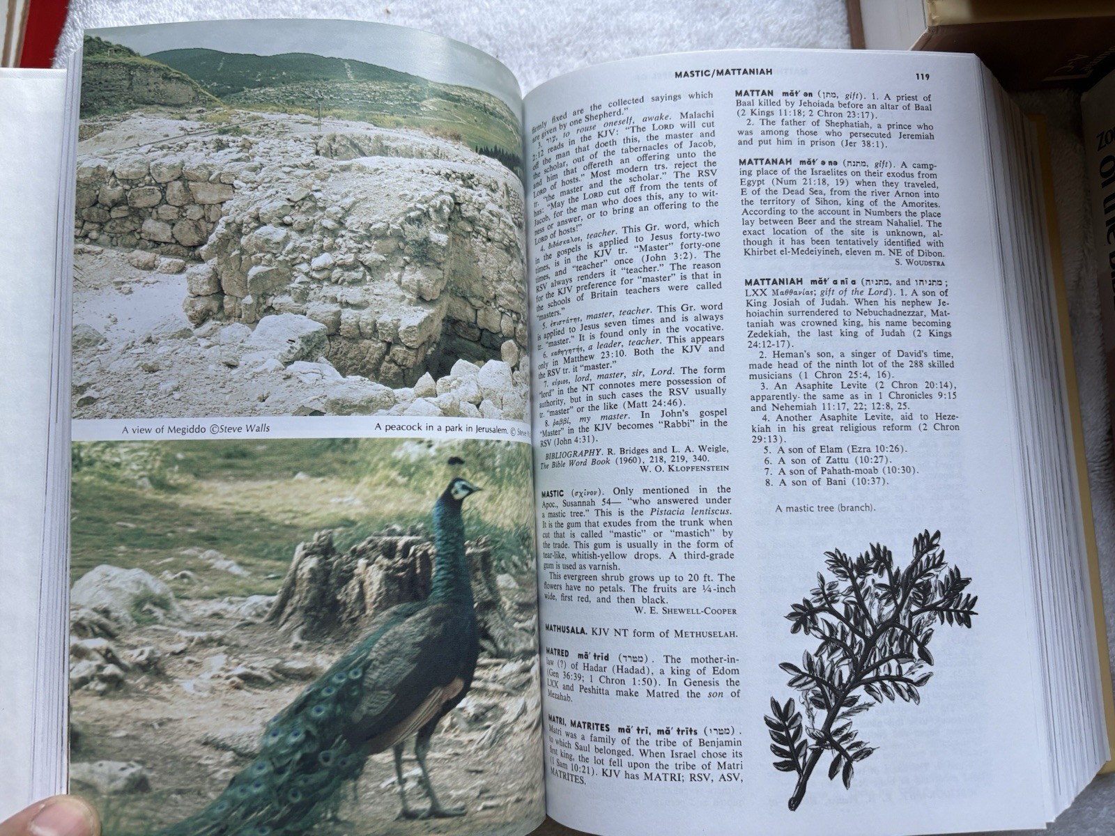 Zondervan Pictorial Encyclopedia o the Bible, Vols. 1-5, VG to LN Books FREESHIP