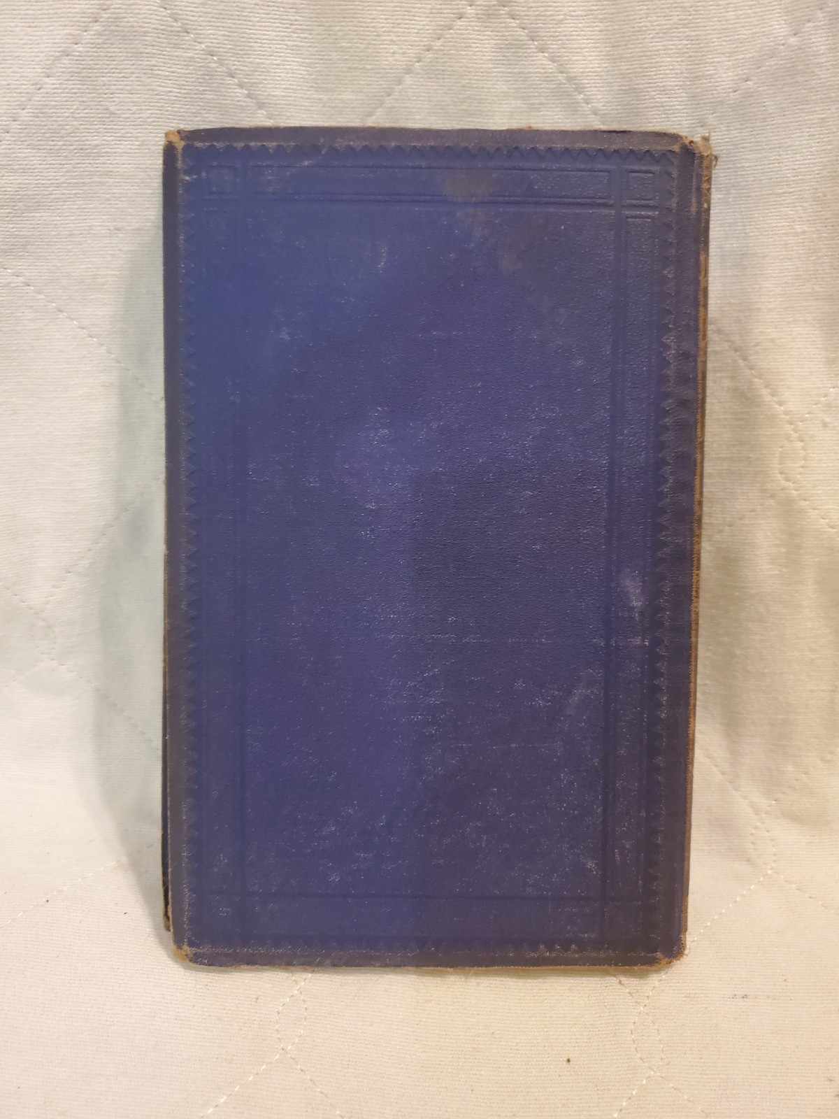 A Daughter of Bohemia Christian Reid 1874 A Novel Illustrated D. Appleton And Co