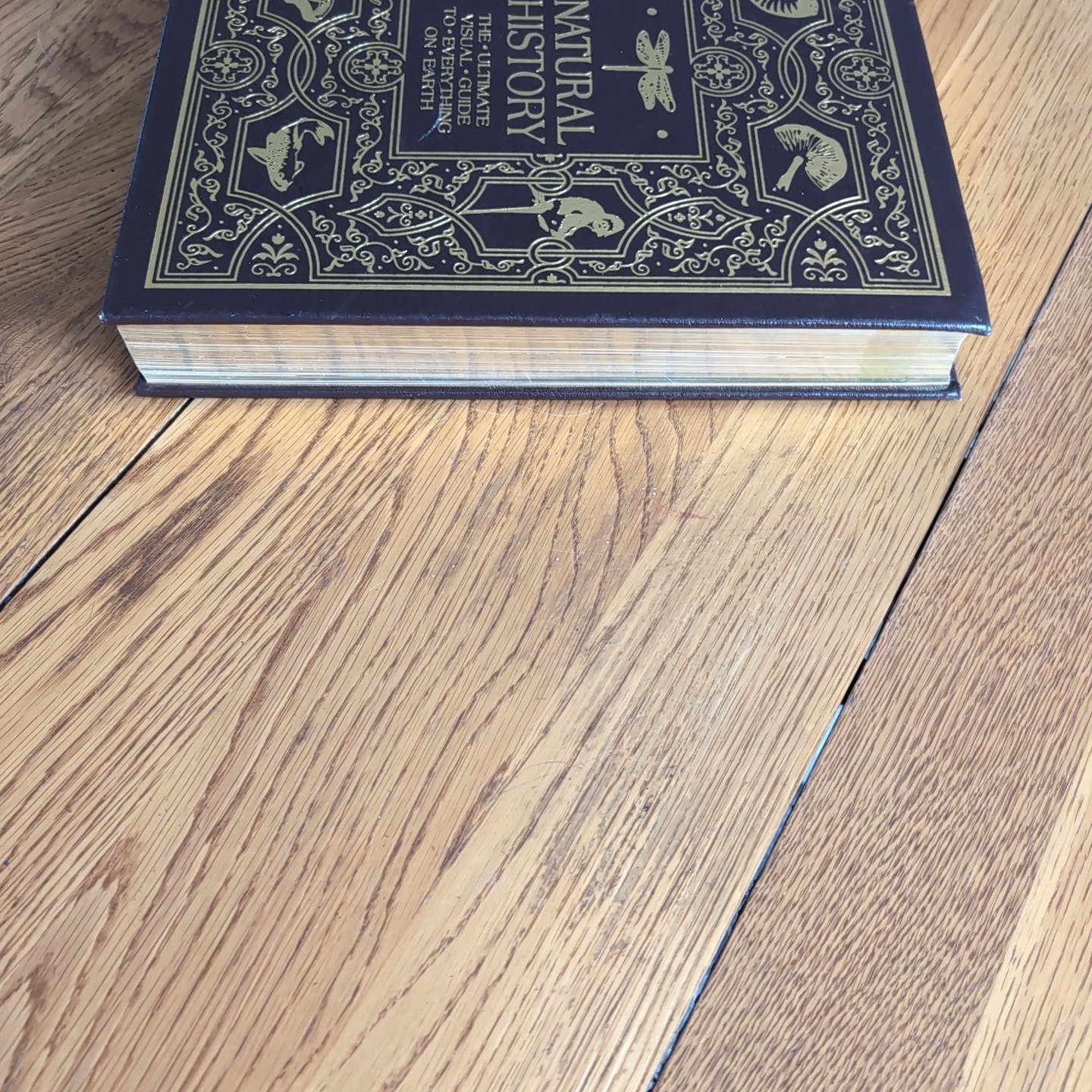 Smithsonian Natural History: The Ultimate Visual Guide Easton Press