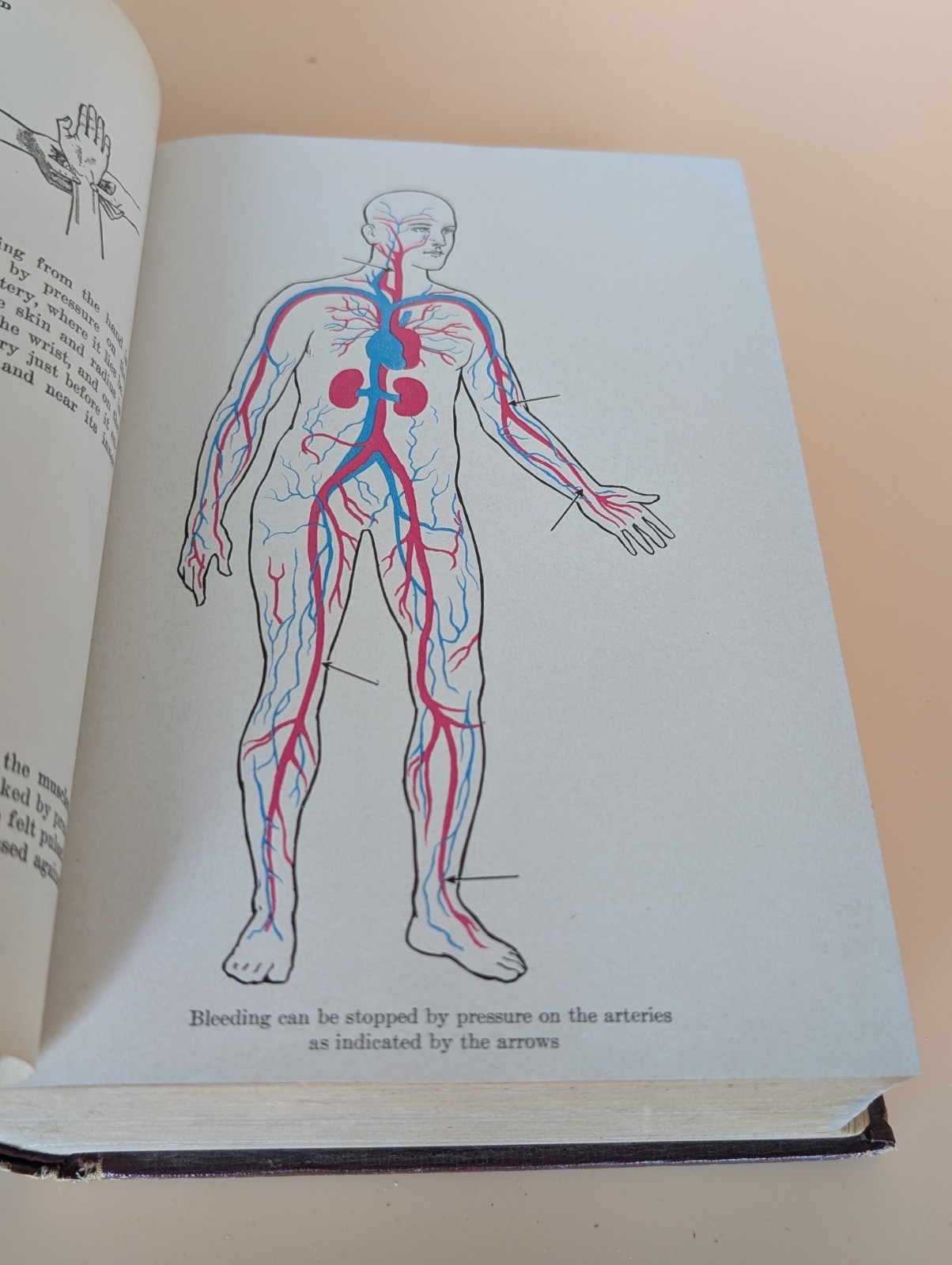 Health Knowledge 2 Vol Set 1927 Medical Anatomy Flap Illustrations Corish
