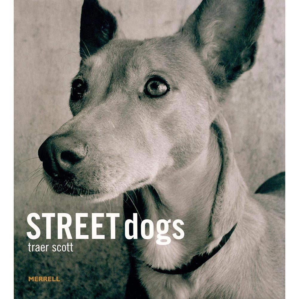 Street Dogs