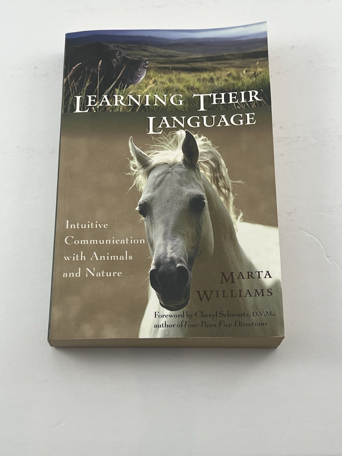 Learning Their Language Marta Williams SIGNED 2003 New World Library