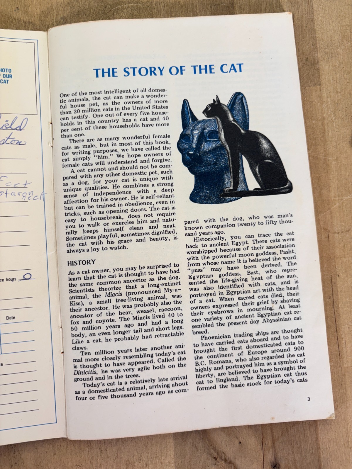 Lot 4 Vtg Cat Books, Uncanny Cats, The Pocket Pet Encyclopedia, Home Pet Guide