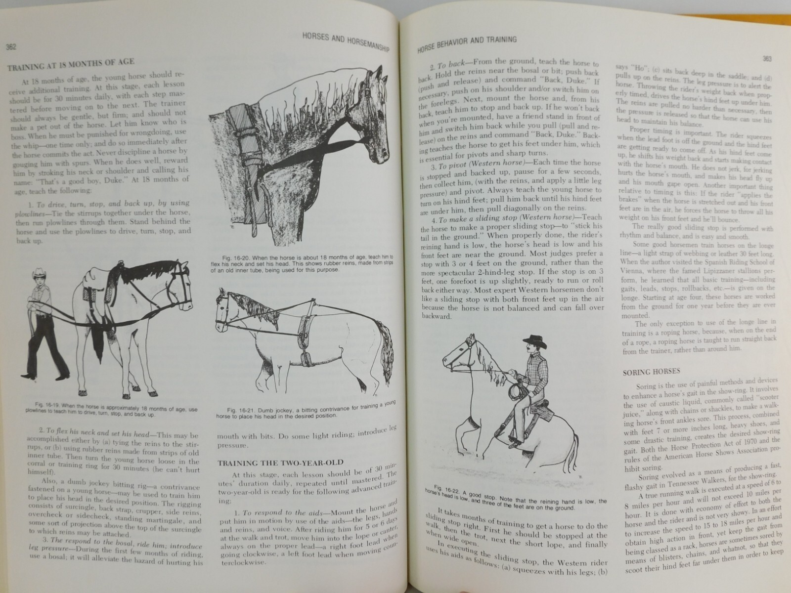 Horsemanship and Riding Horses Equestrian Riding 1977 Illus HC by M E Ensminger