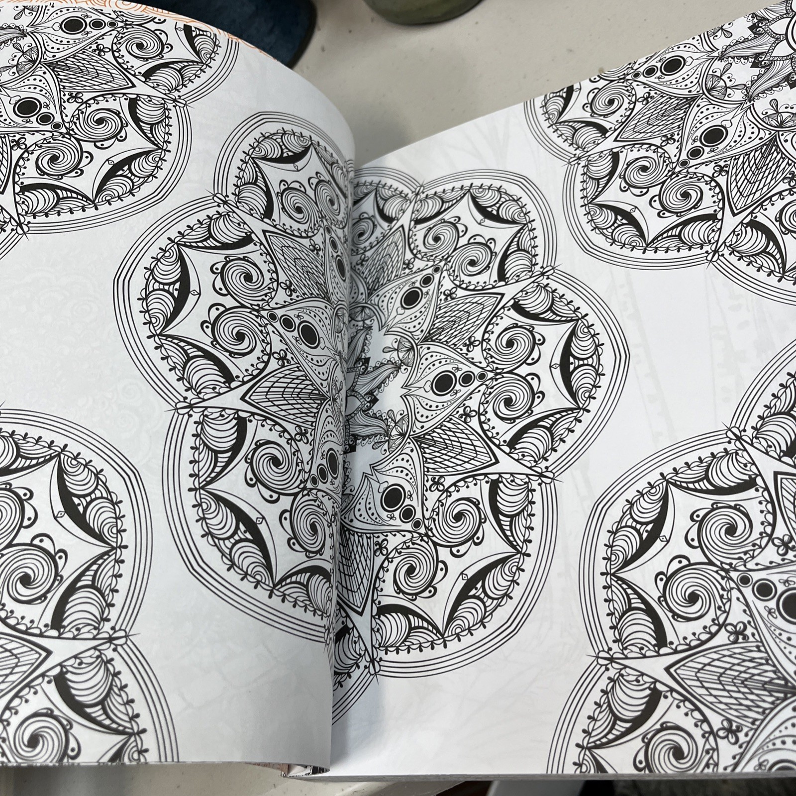 Adult Coloring for Creativity Book 288 Pages New Copyright 2015